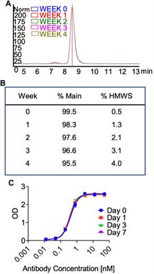 Generation of a potent anti-PD-L1-CD47 bispecific antibody with a strong therapeutic and safety profile for cancer immunotherapy